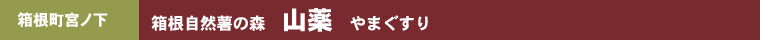 R̐X@R  ܂