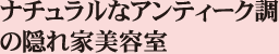 i`ȃAeB[N
̉BƔe